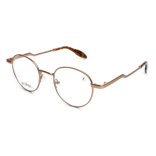 MONTURA DE GAFAS LVMT0899 HARRY POTTER 2024