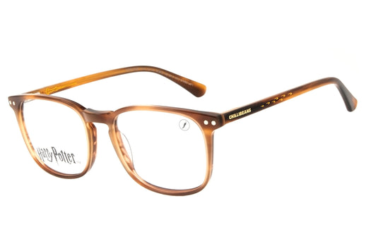 MONTURA DE GAFAS CON LENTE EXTRA LVMU0646 HARRY POTTER 2021