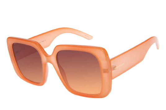GAFAS DE SOL OCCL4600 CHILLI BEANS