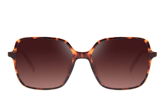 GAFAS DE SOL OCCL4340 CHILLI BEANS