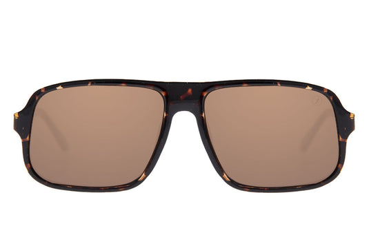 GAFAS DE SOL OCCL4481 CHILLI BEANS